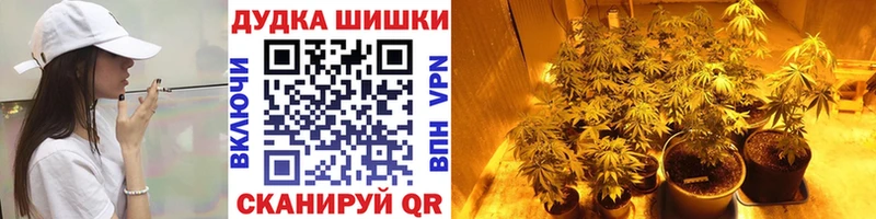 Конопля THC 21%  где купить   Певек 